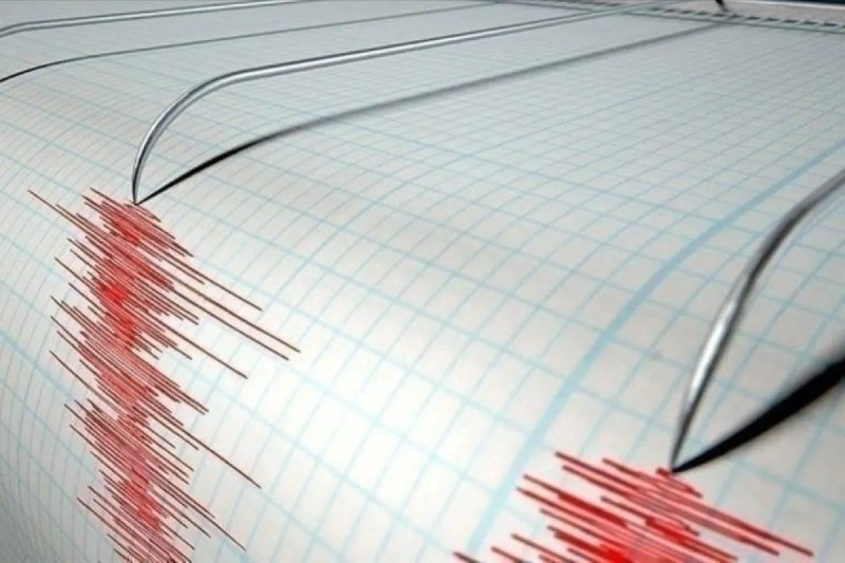 Gempa Bumi Mengguncang Nusa Tenggara Timur: Warga Dihimbau Tetap Waspada