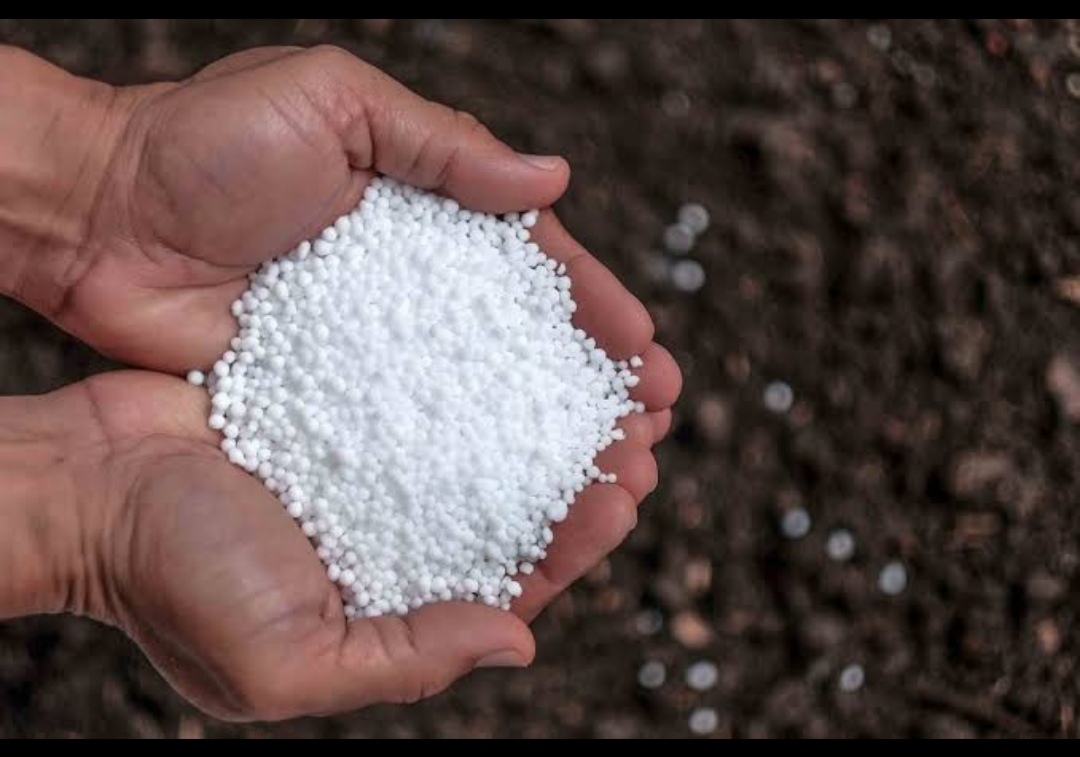 Petani Sragen Protes Wajib Beli Pupuk Non-Subsidi Diduga dari Menantu Wabup