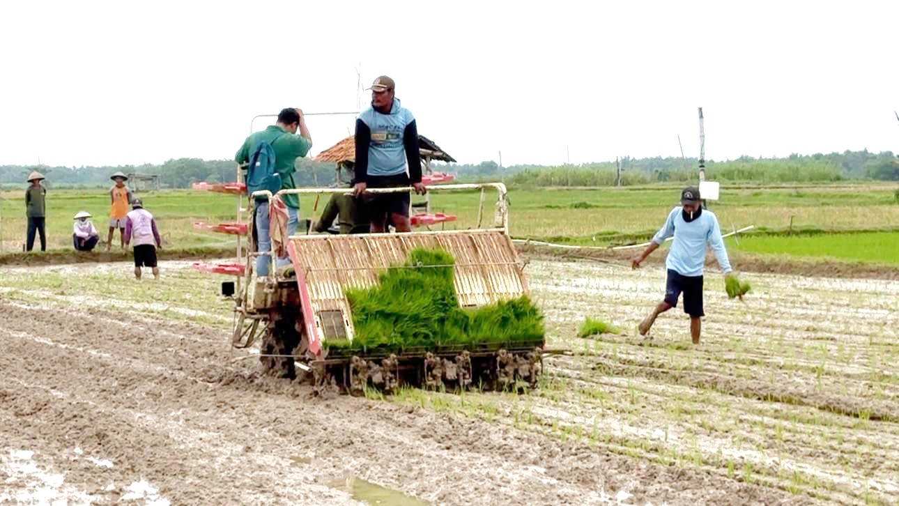 Indeks Pertanaman Padi Rembang 2025 Tertinggi se-Jateng