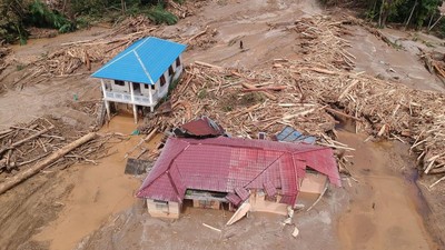 Banjir Sumatera, Menhut Cabut 20 Izin PBPH Seluas 750 Ribu Ha