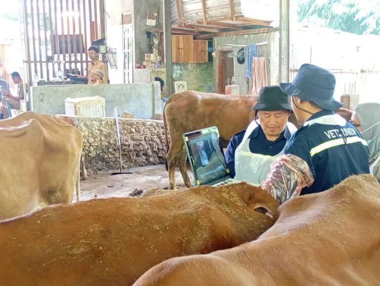 Kebutuhan Hewan Kurban di Jateng Capai 593 Ribu Ekor, Stok Dipastikan Aman