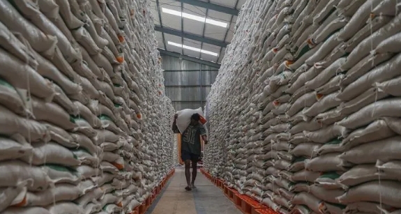 Produksi Beras Indonesia Tertinggi di ASEAN