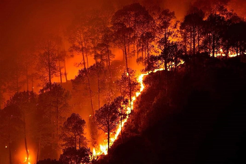El Nino Ancam Picu Karhutla, BNPB Perkuat Operasi Darat di Enam Provinsi