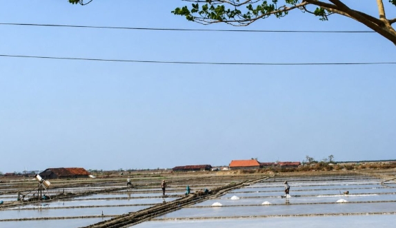 Produksi Garam Pati Tembus 211 Ribu Ton, Tertinggi di Jawa Tengah