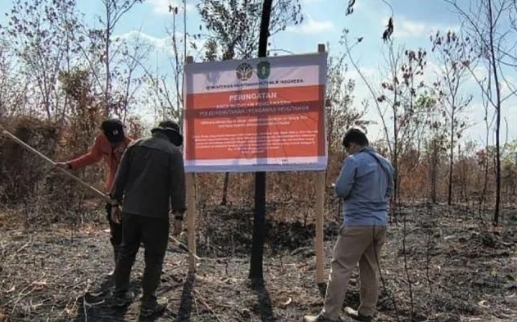 Karhutla Capai 1.511 Hektare, Kemenhut Sanksi Enam Perusahaan di Kalimantan
